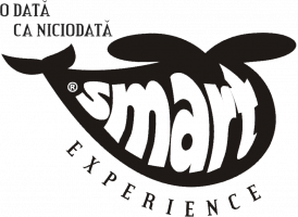 logo smart experience